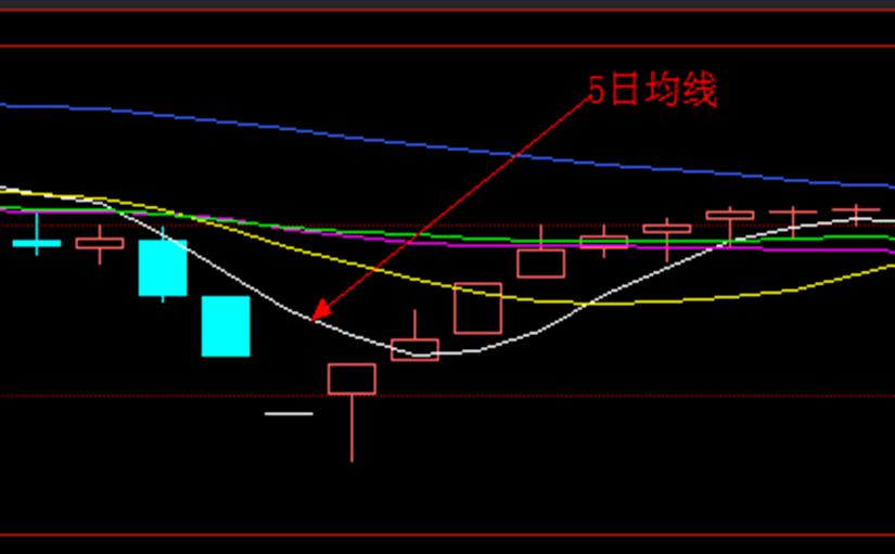 贷款利息新金融准则解析：你需要了解的重要信息